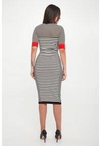Elisabetta Franchi - Sukienka w paski ELISABETTA FRANCHI. Wzór: paski #3