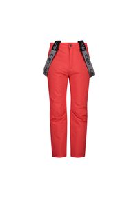 Spodnie dziecięce narciarskie CMP 3W15994. Kolor: czerwony, beżowy, wielokolorowy, czarny. Sezon: zima. Sport: narciarstwo #1