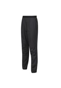Spodnie do biegania damskie Inov-8 Trailpant. Kolor: czarny