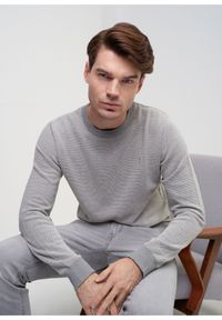 Ochnik - Szary bawełniany sweter męski. Kolor: szary. Materiał: bawełna. Długość rękawa: długi rękaw. Długość: długie #1