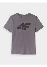 4f - 4F T-shirt regular z nadrukiem męski - szary M. Okazja: na co dzień. Kolor: szary. Materiał: bawełna, jersey, dzianina. Długość rękawa: krótki rękaw. Długość: krótkie. Wzór: nadruk. Styl: sportowy, klasyczny, casual