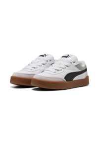 Puma - Buty męskie PUMA Park Lifestyle SK8. Kolor: biały, wielokolorowy, szary