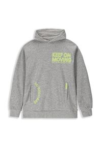 Lemon Explore - Bluza sportowa dziecięcy Lemon Exlopre ZL3 z kapturem. Typ kołnierza: kaptur. Kolor: szary. Materiał: wiskoza, bawełna. Wzór: nadruk. Sport: turystyka piesza