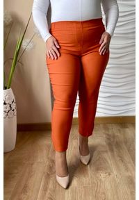 Nasi partnerzy - Spodnie chinosy Nina z zamkami 7/8 w odcieniach pomarańczu PLUS SIZE XXL. Okazja: do pracy, na spacer, na co dzień. Kolekcja: plus size. Materiał: tkanina, poliester, elastan, wiskoza, materiał, włókno. Długość: krótkie. Styl: casual #1