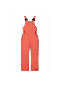 Dziecięcy kombinezon narciarski Protest Neutral TD. Kolor: wielokolorowy, czerwony, brązowy. Sezon: zima. Sport: narciarstwo #1