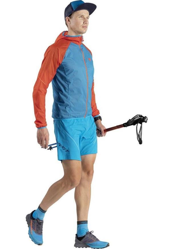 Skarpety do biegania Dynafit Alpine Short. Kolor: wielokolorowy, niebieski, czarny