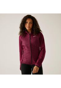 Regatta - Kurtka damska hybrydowa Andreson. Kolor: czerwony. Materiał: puch. Sport: turystyka piesza #1