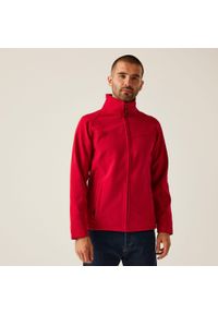 Regatta - Męska kurtka softshell Uproar. Kolor: czerwony. Materiał: softshell. Sport: turystyka piesza #1