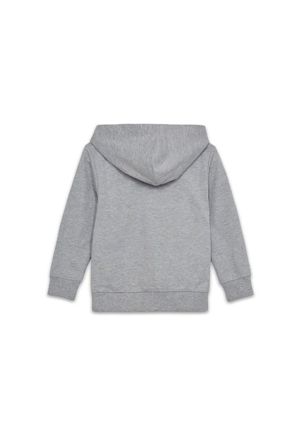 Bluza z Kapturem Dziecięca LEGO NINJAGO Scout 302 Szara. Typ kołnierza: kaptur. Kolor: szary