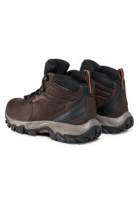 columbia - Columbia Trekkingi Newton Ridge Plus II Waterproof BM3970 Brązowy. Kolor: brązowy. Materiał: skóra. Sport: turystyka piesza #8