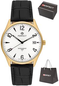 Zegarek Perfect C141T-07 męski klasyczny czytelny z datownikiem .. Styl: klasyczny #1
