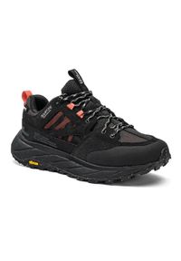 Buty trekkingowe damskie Jack Wolfskin Terraquest Texapore Low. Kolor: czarny