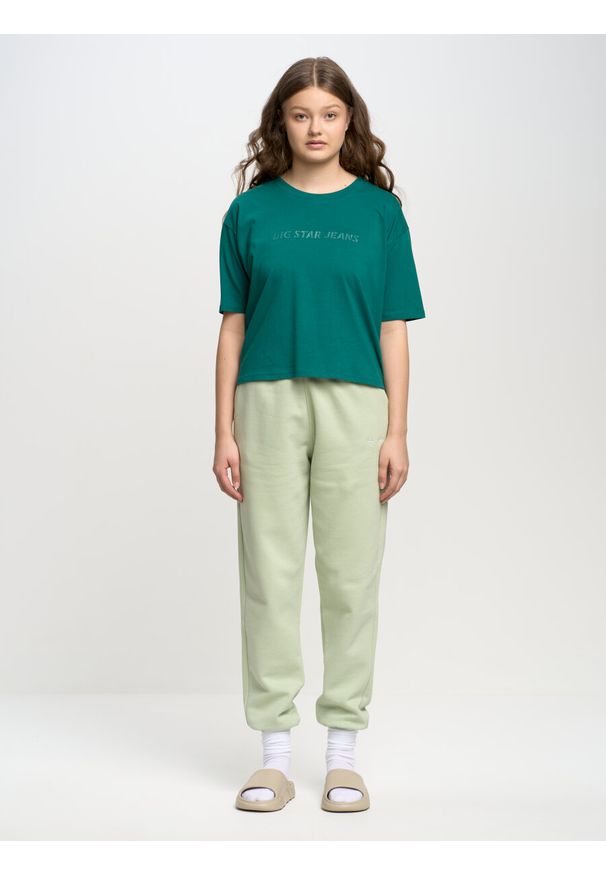 Big-Star - Spodnie dresowe damskie zielone Foxie 301. Kolor: zielony. Materiał: dresówka. Wzór: haft, aplikacja