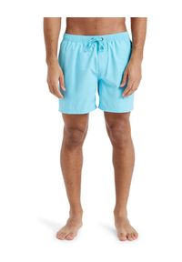 Quiksilver - Szorty kąpielowe dla Mężczyzn SPL FINELINE 15" Niebieski. Kolor: niebieski. Materiał: poliester, materiał. Styl: sportowy #2