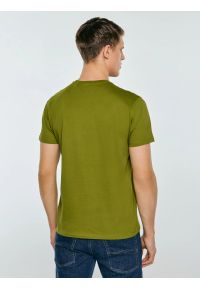 Big-Star - Koszulka męska o klasycznym kroju zielona Bruno 305. Okazja: na co dzień. Kolor: zielony. Materiał: dzianina, bawełna, materiał. Wzór: nadruk, jednolity. Styl: klasyczny #3