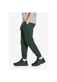 Spodnie dresowe męskie Prosto Old Logo. Kolor: zielony. Materiał: dresówka. Długość: długie #1