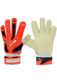 Rękawice bramkarskie Puma Evo Power Grip 2 RC. Kolor: wielokolorowy