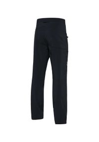 Haglöfs - Spodnie trekkingowe męskie ROC Lite Standard Pant. Kolor: czarny