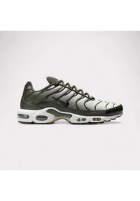 Nike Air Max Plus Sequoia Cargo Khaki. Kolor: zielony. Model: Nike Air Max. Sport: turystyka piesza #1