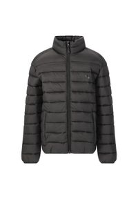 Dziecięca kurtka puchowa Whistler Arubi. Kolor: czarny. Materiał: puch #1