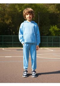 Sinsay - Spodnie dresowe jogger - niebieski. Kolor: niebieski. Materiał: dresówka