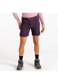 DARE 2B - Spodenki trekkingowe damskie Melodic. Kolor: fioletowy. Materiał: tkanina, elastan, nylon. Sport: turystyka piesza