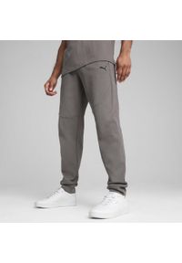 Puma - Męskie spodnie PUMATECH PUMA Cast Iron Gray. Kolor: szary. Materiał: dresówka. Sport: fitness