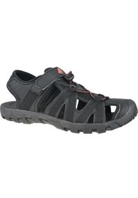 4f - 4F Men's Sandals H4L20-SAM003-20S. Kolor: czarny. Styl: sportowy #1