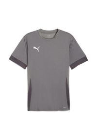 Koszulka treningowa dla dzieci Puma TeamGoal. Kolor: szary. Sport: piłka nożna #1