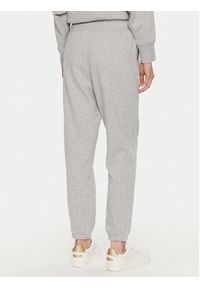 DKNY Sport Spodnie dresowe DP4P3471 Szary Regular Fit. Kolor: szary. Materiał: bawełna, syntetyk #3