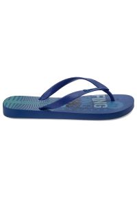 Niebieskie Japonki Ipanema Wygodne Obuwie Męskie. Okazja: na plażę, na co dzień. Kolor: niebieski. Materiał: materiał. Sezon: lato. Styl: elegancki, casual #4
