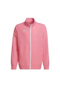 Adidas - Dziecięca bluza dresowa adidas Entrada 22. Kolor: różowy. Materiał: dresówka