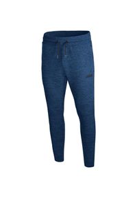 Spodnie dresowe Jako jogging Premium Basics. Kolor: niebieski. Materiał: dresówka. Sport: bieganie