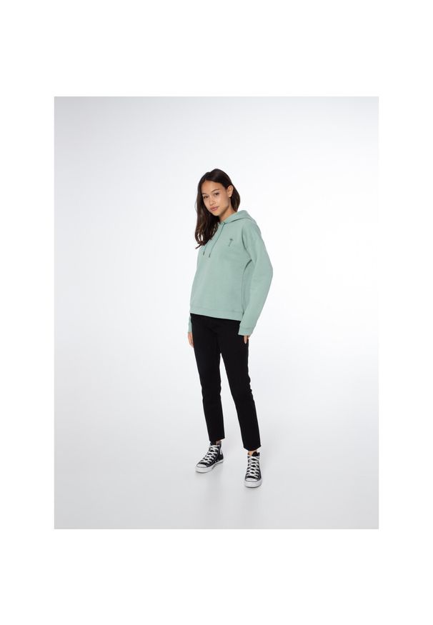Bluza damska Protest PRTKAIKOURA hoody. Kolor: zielony, niebieski, wielokolorowy