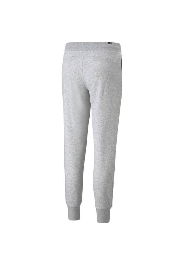Puma - Spodnie Do Biegania Essential Dla Kobiet. Kolor: szary. Sport: fitness