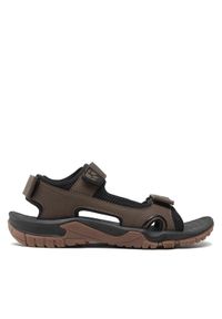 Jack Wolfskin Sandały Lakewood Cruise Sandal M 4019011 Brązowy. Kolor: brązowy. Materiał: skóra #1