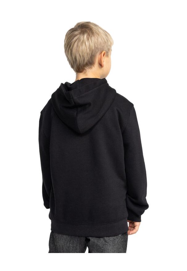 DC Shoes - Bluza z kapturem dla Chłopcy PALLET PH Czarny. Typ kołnierza: kaptur. Kolor: brązowy, zielony, wielokolorowy. Materiał: tkanina, poliester, bawełna. Sport: skateboard