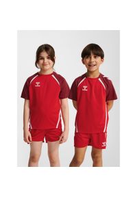 Koszulka dla dzieci Hummel Lead 2.0. Kolor: czerwony, brązowy, różowy, wielokolorowy. Materiał: jersey #1