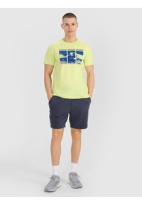 4f - 4F T-shirt regular z nadrukiem męski - zielony XL. Okazja: na co dzień. Kolor: zielony. Materiał: bawełna, jersey, materiał. Długość rękawa: krótki rękaw. Długość: krótkie. Wzór: nadruk. Styl: sportowy, klasyczny, casual
