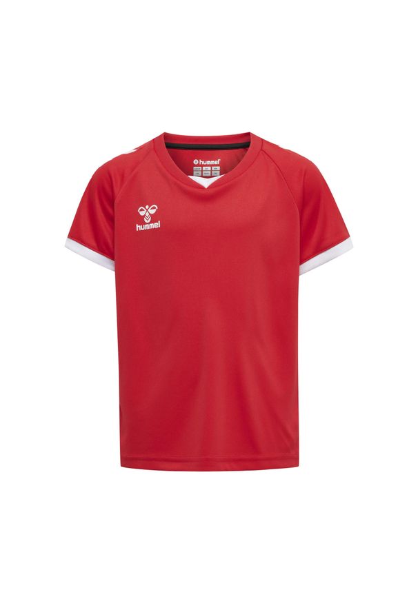 Koszulka dziecięca Hummel hmlhmlCORE volley. Kolor: czerwony, wielokolorowy, różowy. Długość rękawa: raglanowy rękaw. Sezon: lato. Sport: fitness, piłka nożna