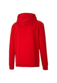 Puma - Męska Bluza Z Kapturem TeamGoal 23. Typ kołnierza: kaptur. Kolor: czerwony #2