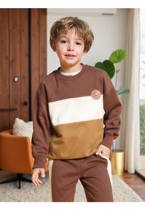 Sinsay - Bluza w pasy - brązowy. Kolor: brązowy