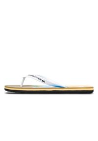 Quiksilver - Klapki dla Mężczyzn MOLOKAI STRIPE 25. Okazja: na plażę. Kolor: niebieski. Materiał: guma, syntetyk, materiał. Styl: sportowy