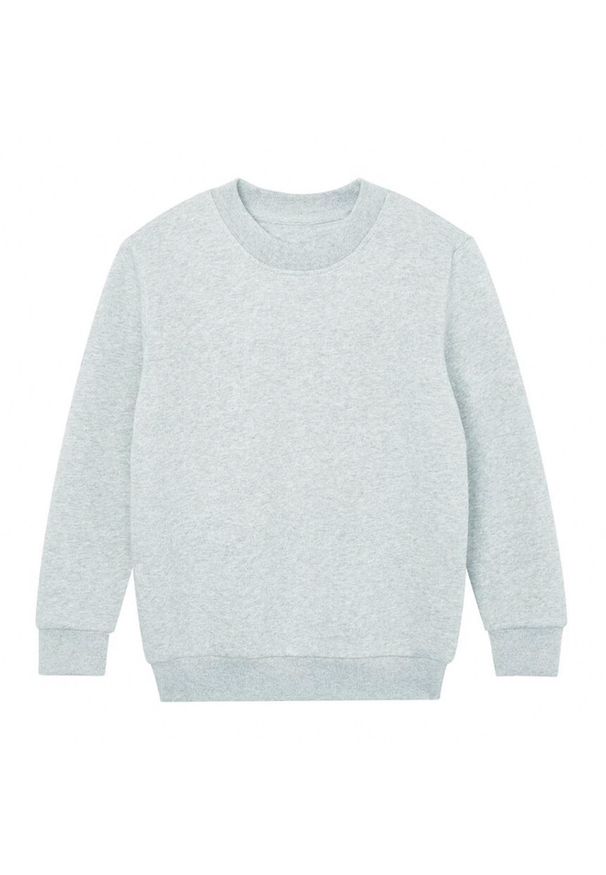 MANTIS - Bluza Dziecięca Essential Plain. Kolor: szary
