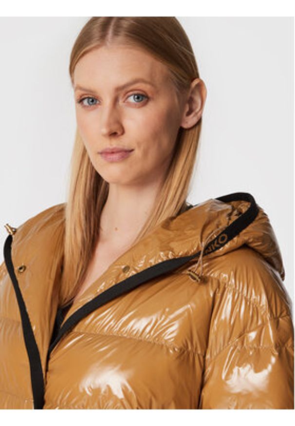 Pinko - PINKO Kurtka zimowa Ida 1G18CY A00N Brązowy Regular Fit. Kolor: brązowy. Materiał: syntetyk. Sezon: zima