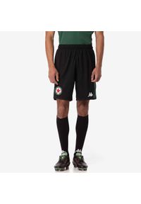 Kappa - Szorty Red Star FC Ahora Pro 8 2024/25. Kolor: czarny, zielony, wielokolorowy. Sport: piłka nożna