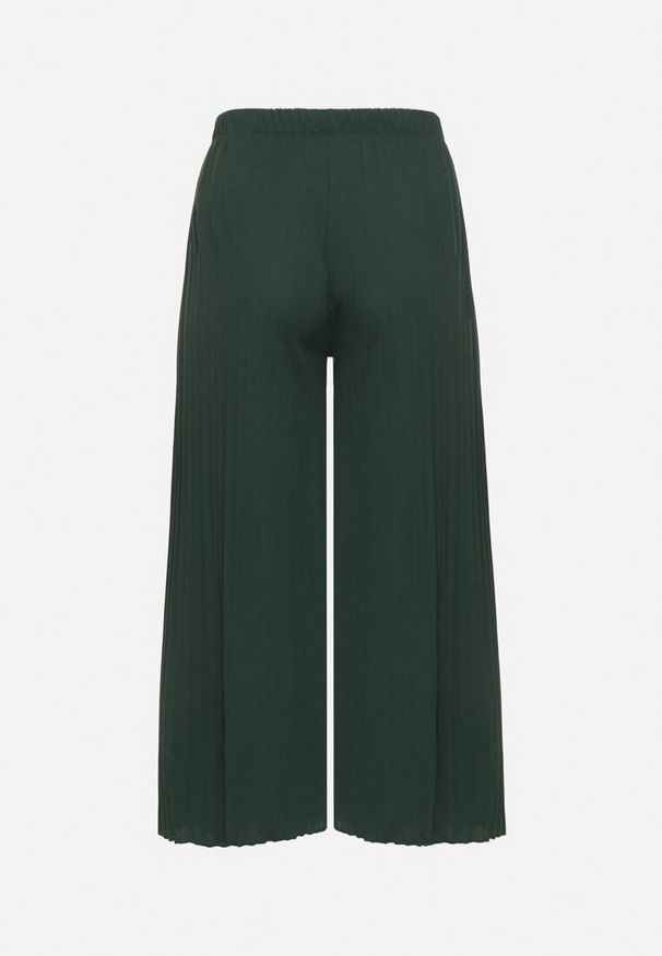 Born2be - Zielone Szerokie Spodnie z Plisowanej Tkaniny z Gumką w Pasie Cesele. Kolekcja: plus size. Kolor: zielony. Materiał: tkanina. Styl: elegancki