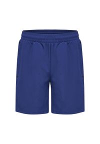 Szorty tkane dla dzieci Hummel Move Grid. Okazja: na uczelnię. Kolor: niebieski. Styl: sportowy. Sport: joga i pilates #1