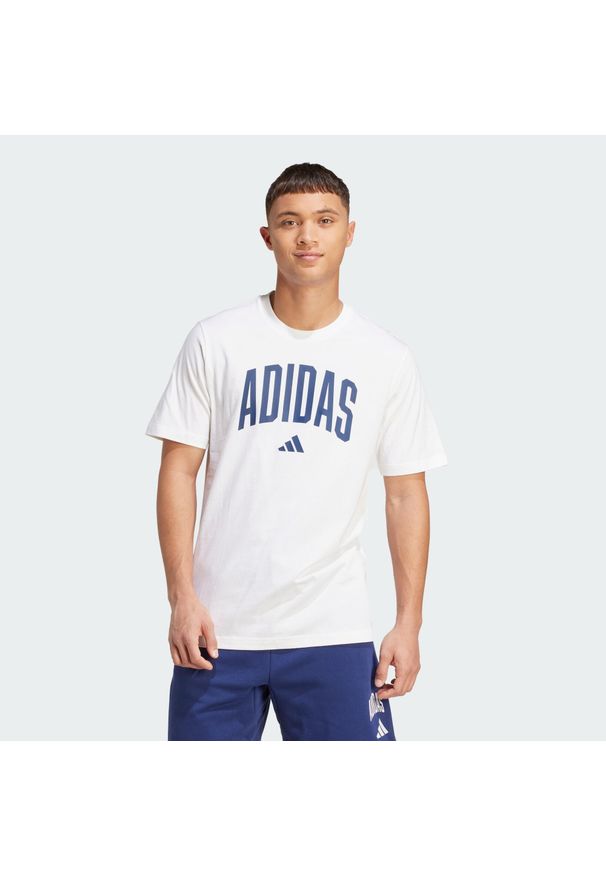 Adidas - Koszulka Collegiate Lineage Graphic. Kolor: biały. Materiał: bawełna. Sport: fitness