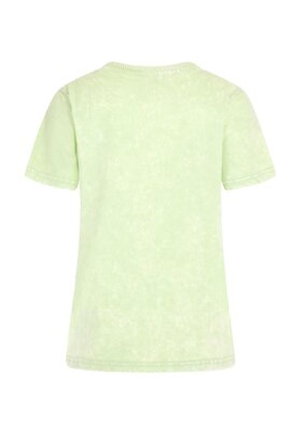 Guess T-Shirt Fruits W3GI24 I3Z14 Zielony Regular Fit. Kolor: zielony. Materiał: bawełna